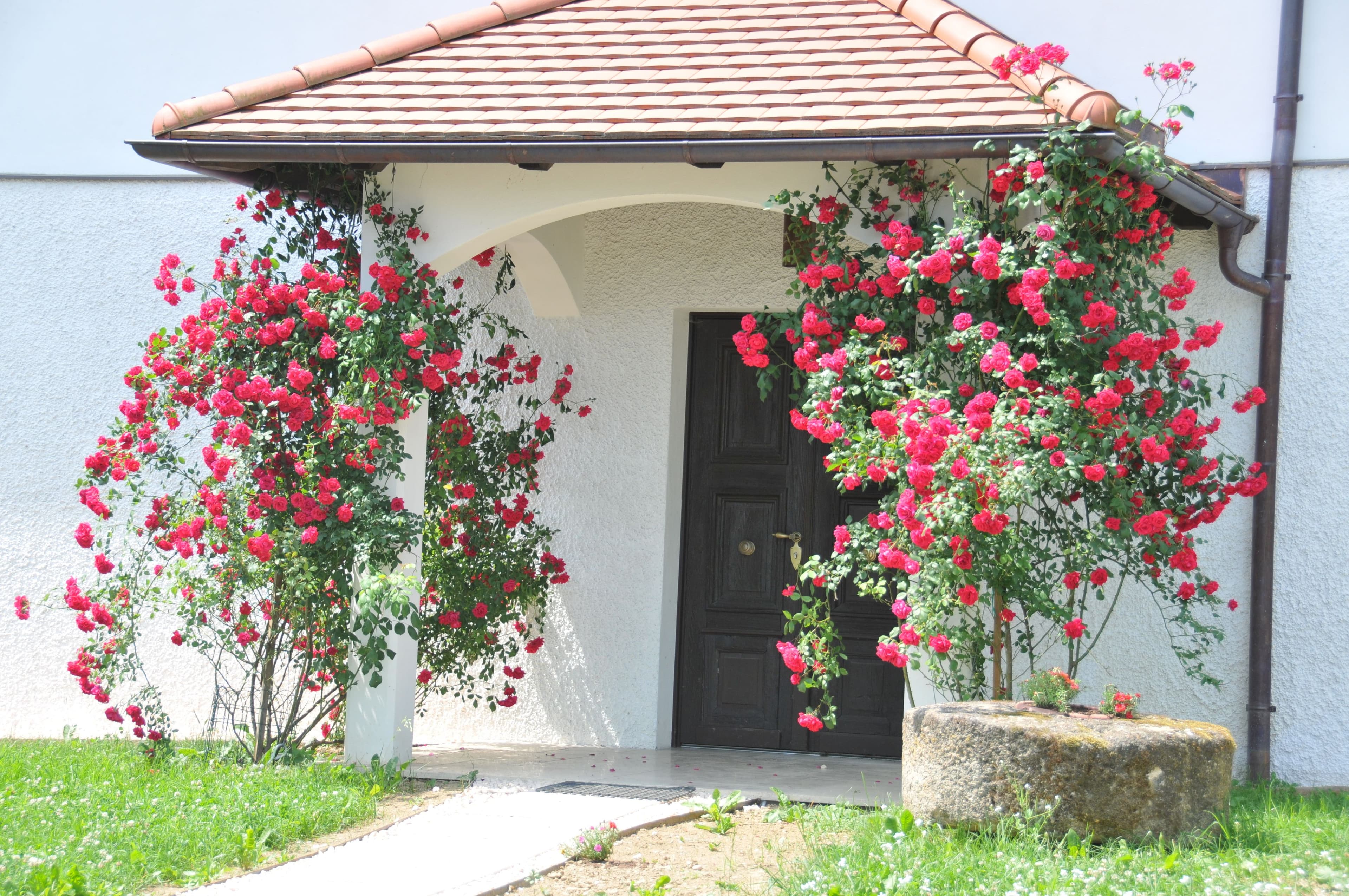 Hirschmugl Domaene - Apartment Am Sonnenhang - 7